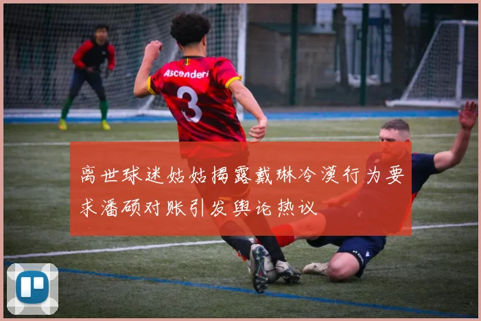 离世球迷姑姑揭露戴琳冷漠行为要求潘硕对账引发舆论热议
