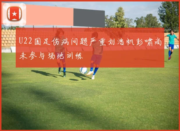 U22国足伤病问题严重刘浩帆彭啸尚未参与场地训练