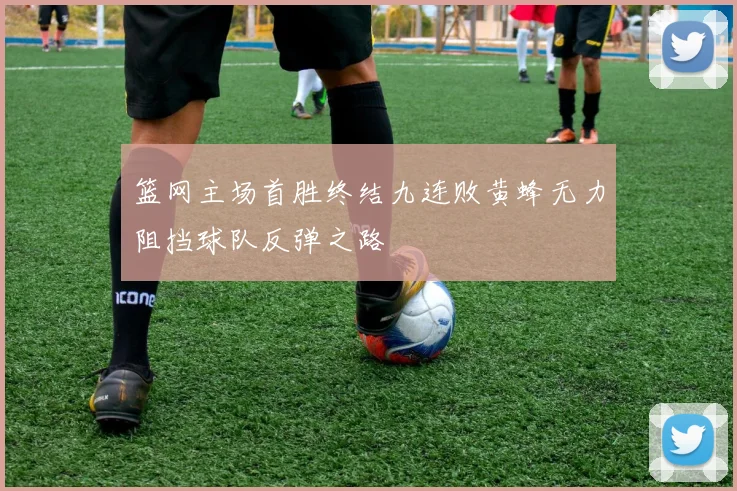 篮网主场首胜终结九连败黄蜂无力阻挡球队反弹之路