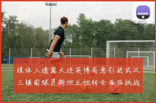 媒体人透露大连英博有意引进武汉三镇前球员斯坦丘但转会面临挑战